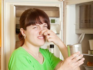 Почему плохо пахнет в холодильнике